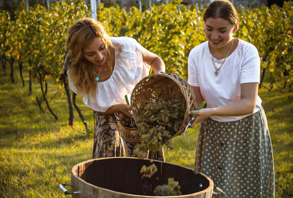 Executive incentive tour in Georgia with curated cultural experiences